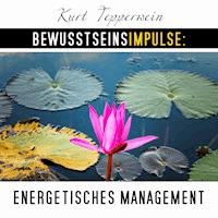 Bewusstseinsimpulse: Energetisches Management - Kurt Tepperwein - Hörbuch