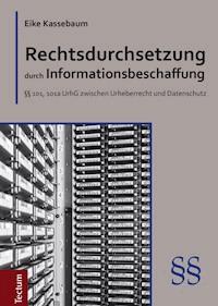 Rechtsdurchsetzung durch Informationsbeschaffung - Eike Kassebaum - E-Book