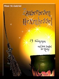 Zauberbesen Hexenkessel - Missi St. Gabriel - E-Book