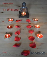 Im Whirlpool - Dagmar Heyer - E-Book