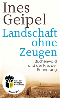 Landschaft ohne Zeugen - Ines Geipel - E-Book