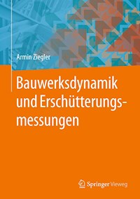 Bauwerksdynamik und Erschütterungsmessungen - Armin Ziegler - E-Book