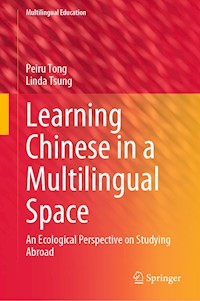 Learning Chinese in a Multilingual Space - Peiru Tong - E-Book