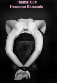 Transfixion - Francesca Mazzucato - E-Book