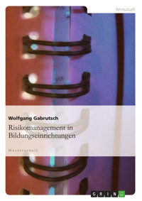 Risikomanagement in Bildungseinrichtungen - Wolfgang Gabrutsch - E-Book