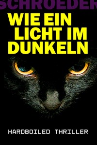 Wie Ein Licht Im Dunkeln - Frank Christopher Schroeder - E-Book