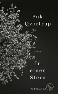 In einen Stern - Puk Qvortrup - E-Book