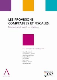 Les provisions comptables et fiscales - Collectif - E-Book
