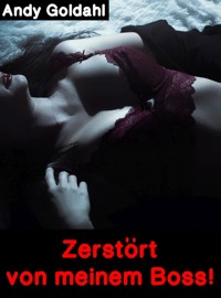 Zerstört von meinem Boss! - Andy Goldahl - E-Book