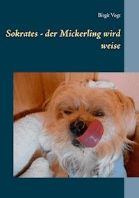 Sokrates - der Mickerling wird weise - Birgit Vogt - E-Book