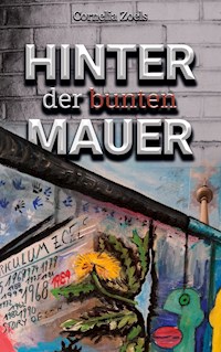 Hinter der bunten Mauer - Cornelia Zoels - E-Book