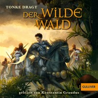 Der Wilde Wald - Tonke Dragt - Hörbuch