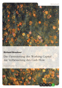 Die Optimierung des Working Capital zur Verbesserung des Cash Flow - Richard Breutner - E-Book