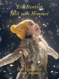 Ein Rentier fällt vom Himmel - Markus Seiler - E-Book