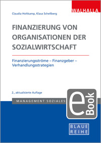 Finanzierung von Organisationen der Sozialwirtschaft - Klaus-Ulrich Schellberg - E-Book
