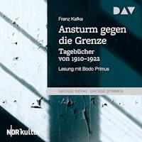 Ansturm gegen die Grenze. Tagebücher von 1910–1922 - Franz  kafka - Hörbuch