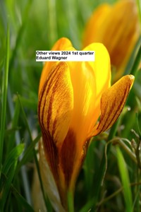 Different views 1st quarter 2024 - Eduard Wagner - E-Book