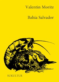 Bahía Salvador - Valentin Moritz - E-Book
