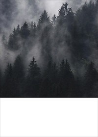 Yu Bogota! - Manfred Euteneier - E-Book