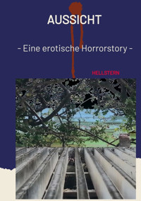 Aussicht - Hellstern Hofnarr des Lichts - E-Book