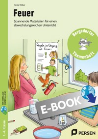 Feuer - Nicole Weber - E-Book