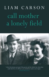 Call Mother a Lonely Field - Liam Carson - E-Book