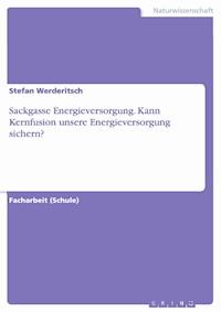 Sackgasse Energieversorgung. Kann Kernfusion unsere Energieversorgung sichern? - Stefan Werderitsch - E-Book