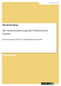 Die Industrialisierung der böhmischen Länder - Elisabeth Mayr - E-Book