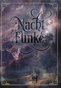 Nachtfunke - Marion Hübinger - E-Book