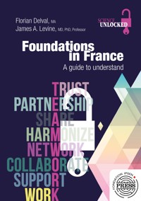 Foundations in France - Florian Delval - kostenlos E-Book