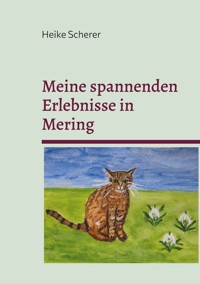 Meine spannenden Erlebnisse in Mering - Heike Scherer - E-Book