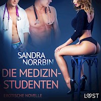 Die Medizinstudenten: Erotische Novelle (Ungekürzt) - Sandra Norrbin - Hörbuch