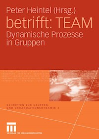 betrifft: TEAM -  - E-Book