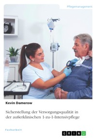Sicherstellung der Versorgungsqualität in der außerklinischen 1-zu-1-Intensivpflege - Kevin Damerow - E-Book