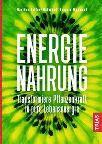 Energienahrung - Martina Seifen-Mahmoud - E-Book