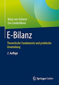 E-Bilanz - Klaus von Sicherer - E-Book