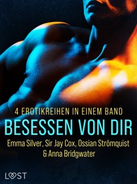 Besessen von dir: 4 Erotikreihen in einem Band - Anna Bridgwater - E-Book
