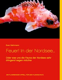 Feuer! In der Nordsee... - Sven Gehrmann - E-Book