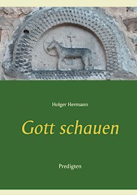 Gott schauen - Holger Hermann - E-Book