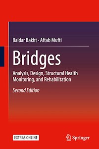 Bridges - Baidar Bakht - E-Book