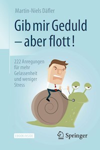 Gib mir Geduld – aber flott! - Martin-Niels Däfler - E-Book