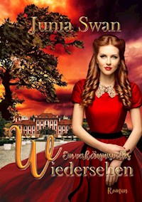 Ein verhängnisvolles Wiedersehen - Junia Swan - E-Book