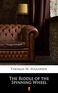 The Riddle of the Spinning Wheel - Thomas W. Hanshew - E-Book