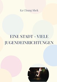 Eine Stadt - viele Jugendeinrichtungen - Ka Chung Shek - E-Book