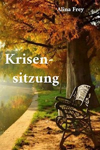 Krisensitzung - Alina Frey - E-Book