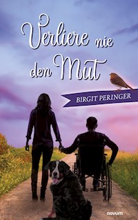 Verliere nie den Mut - Birgit Peringer - E-Book