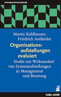 Organisationsaufstellungen evaluiert - Martin Kohlhauser - E-Book