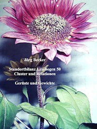 Standortbilanz Lesebogen 50 Cluster und Relationen - Jörg Becker - E-Book