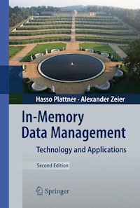 In-Memory Data Management - Hasso Plattner - E-Book