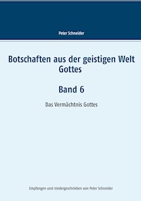 Botschaften aus der geistigen Welt Gottes    Band 6 - Peter Schneider - E-Book